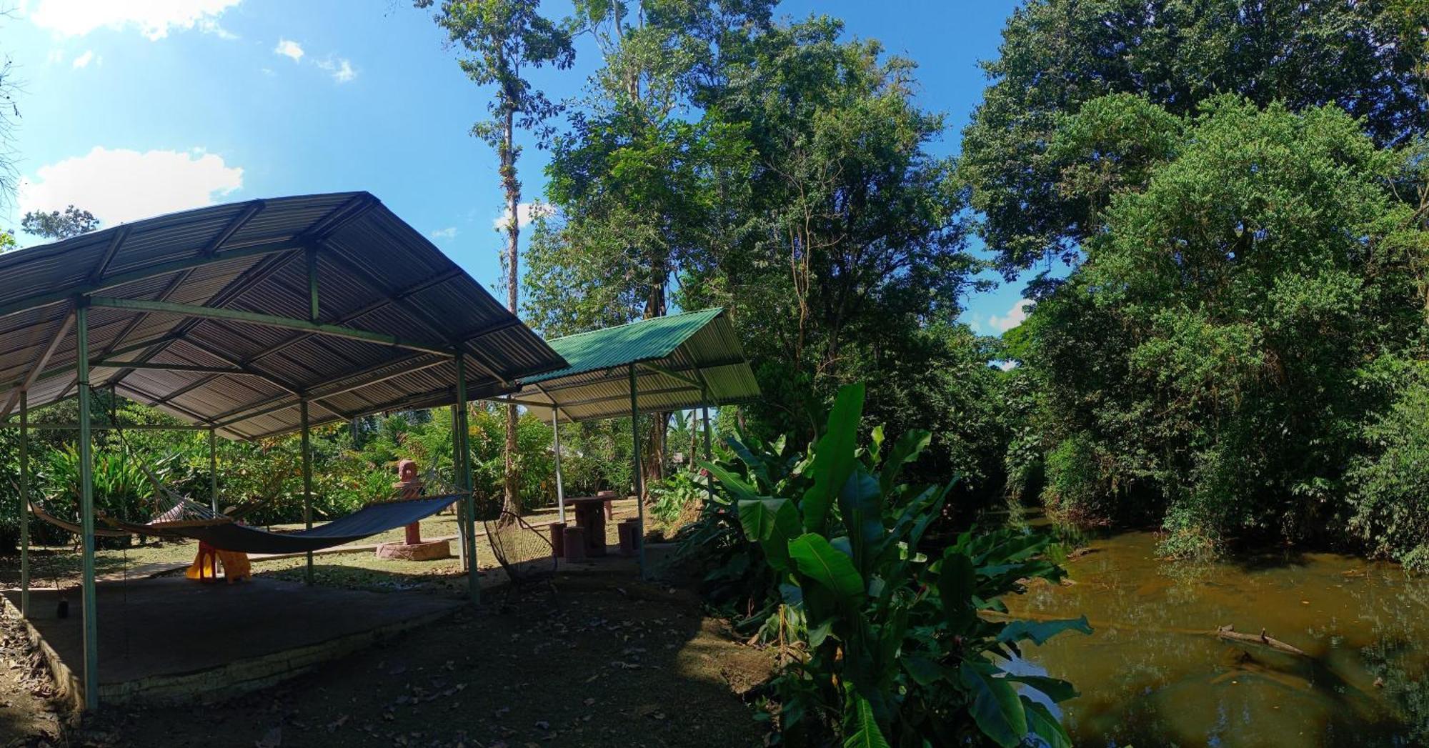 Finca La Paz - Sarapiqui Puerto Viejo de Sarapiqui Экстерьер фото