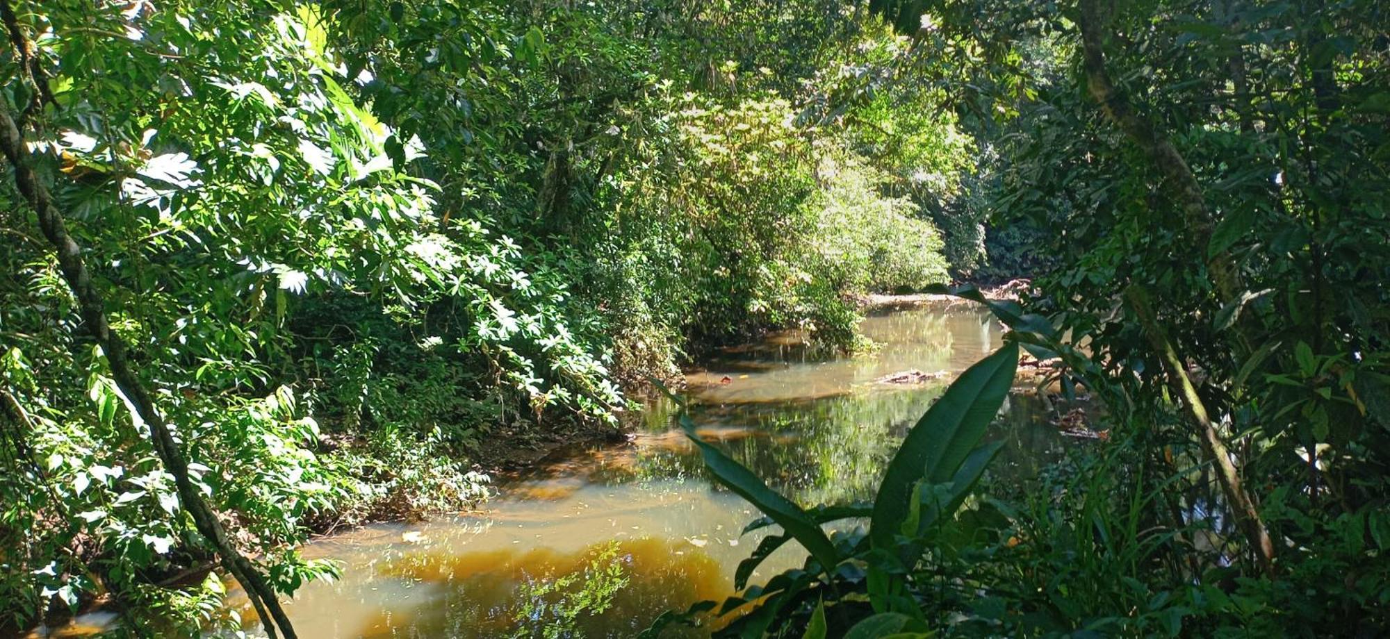 Finca La Paz - Sarapiqui Puerto Viejo de Sarapiqui Экстерьер фото