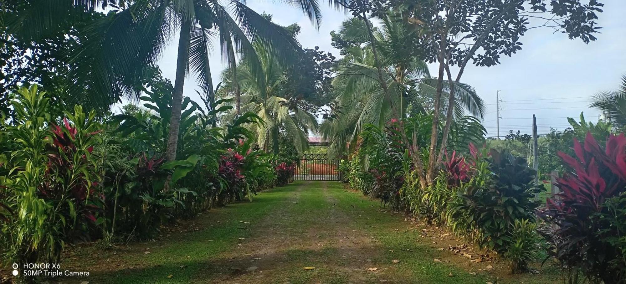 Finca La Paz - Sarapiqui Puerto Viejo de Sarapiqui Экстерьер фото